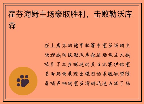 霍芬海姆主场豪取胜利，击败勒沃库森